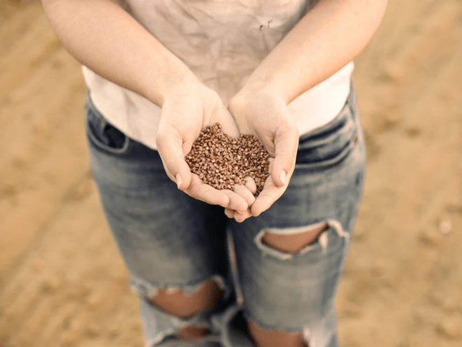 Nga painga o te buckwheat